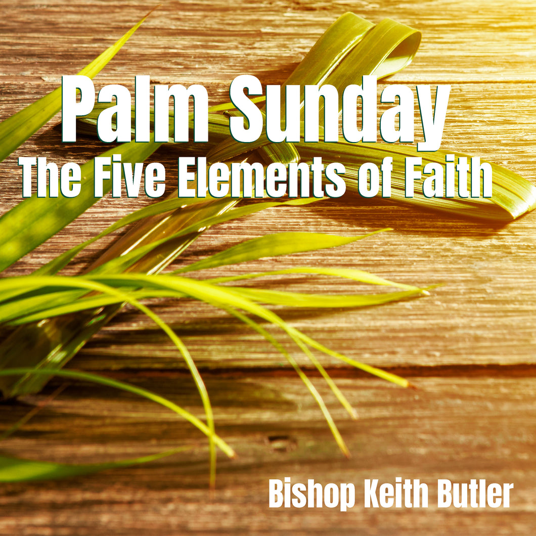 Palm Sunday and the Five Elements of Faith